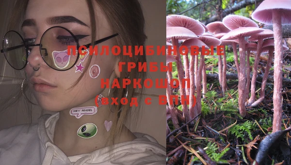 спиды Осинники