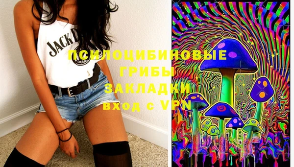 экстази Удомля