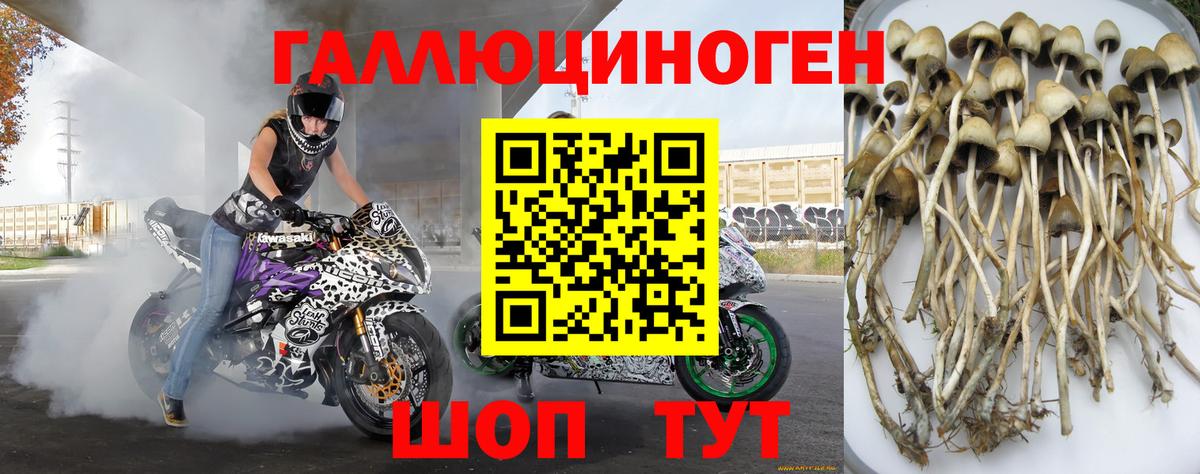 Псилоцибиновые грибы мухоморы Сокол