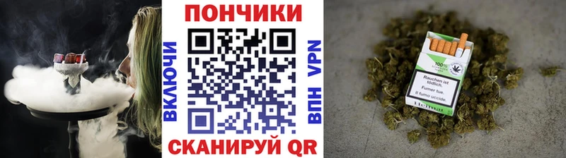 Шишки марихуана Amnesia  Сокол 